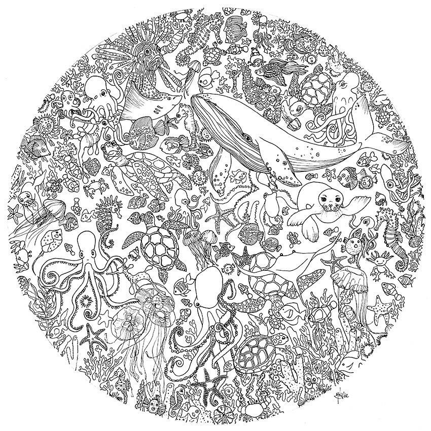 11 easy drawing ideas – Mont Marte Global