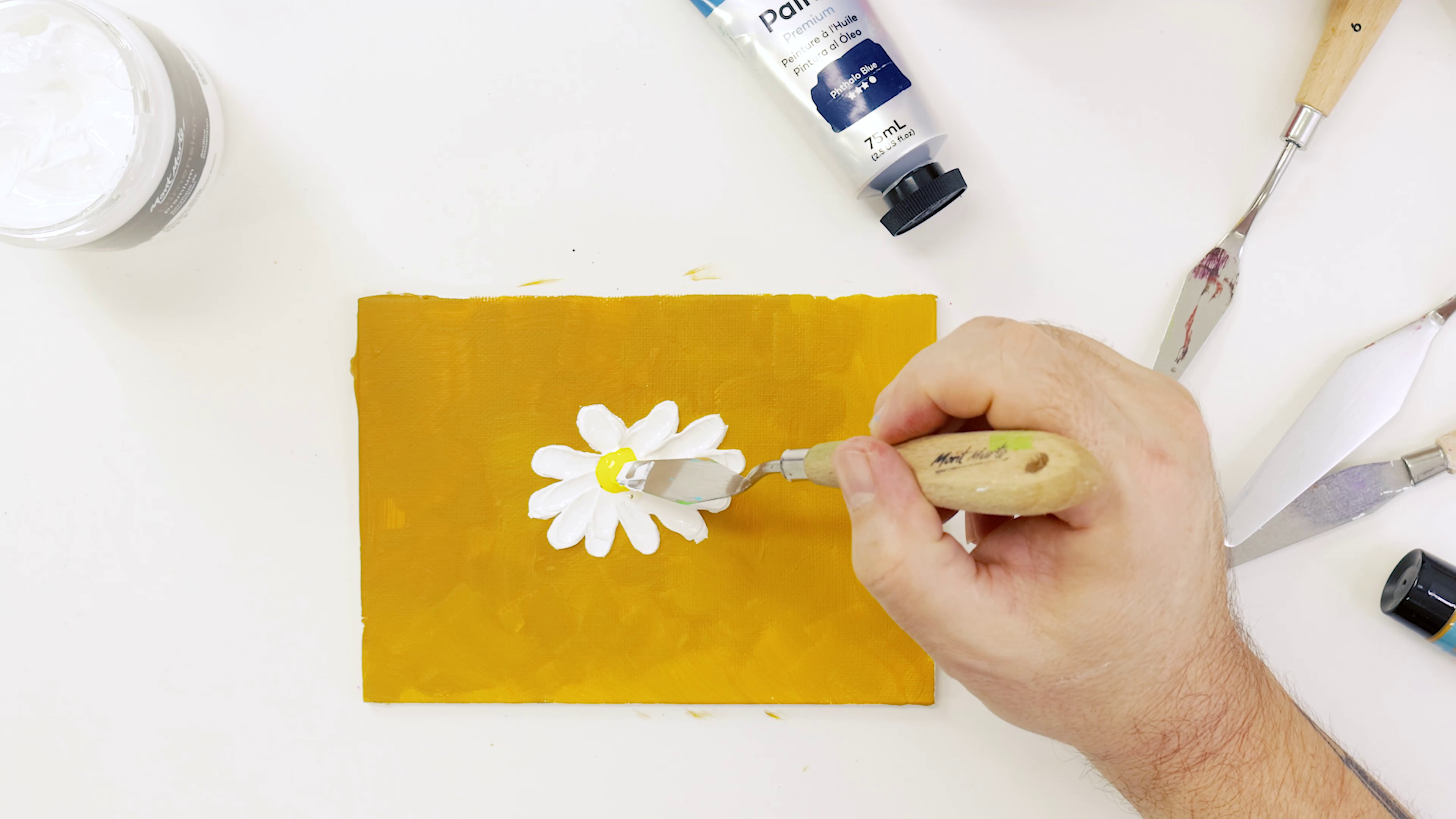 Quick Steps To Paint on Canvas for Beginners